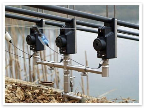 chub  - bbcomp-adj-fr.jpg